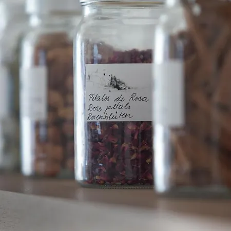 ヴィラ Casa El Cantito